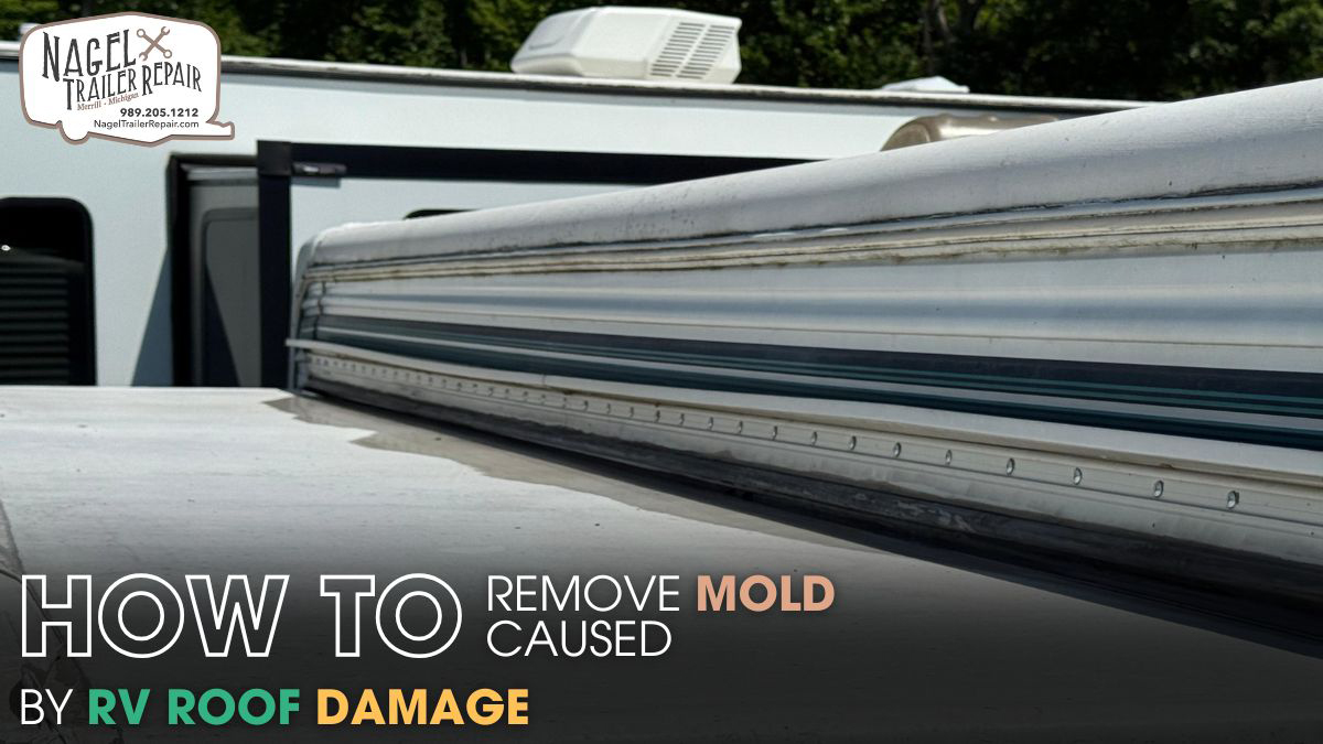 Remove Mold Caused by RV Roof Damage